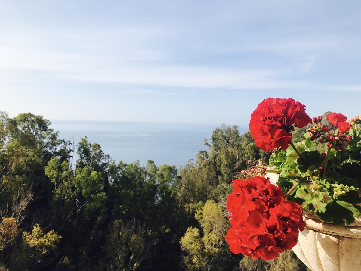 Hotel Villa Riis Taormina Ngoại thất bức ảnh